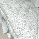 지베누오