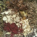 성대경희한의원 이미지