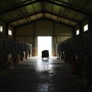 한강노을빛체험마을 이미지