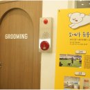 대구애견미용 강아지호텔 모여라솜뭉치 이미지