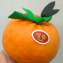 창의미술2 | [공지] 옥길동 미술학원 후기 2월 특별수업