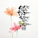 캘리그라피 이미지..카톡 이미지