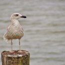 영은한의원 이미지