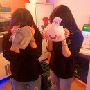 장미포차 이미지