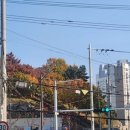 조선일보 보급소 이미지