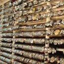 도봉-도봉-서울도봉-2095 이미지