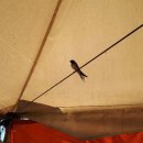 로뎀나무펜션민박 이미지