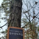 원수산 누리길 이미지