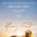 행복카랜드 이미지