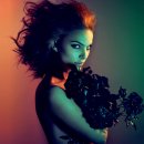 백조미디어 이미지