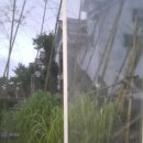 소소펜션 이미지