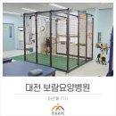 대전보람요양병원 네이버블로그