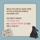 케이플미 이미지