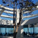 헤이메르 Daum카페