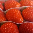 종훈농장 이미지