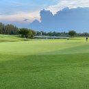 파인골프 이미지