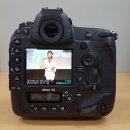 D5 IT동아
