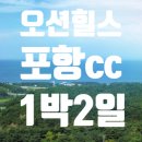 (주)대세기업 | 오션힐스 포항 CC 1박2일 골프패키지 추천｜동해 오션뷰 골프장