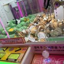 와플대학이천마장캠퍼스