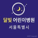 서울요양원 | 서울 달빛어린이병원 4곳 | 강남 서초 용산 노원 | 야간 휴일진료 소아과