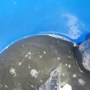 화이트 앤 크리닝 이미지