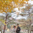 지경보 위(유천2리 쪽) | 강원도 인제 가을 단풍 명소 백담사