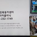 덕진카클리닉 네이버블로그