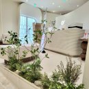 내츄럴스페이스 이미지