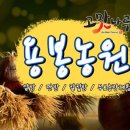 용봉농장 네이버블로그