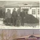 사리면사무소 이미지