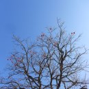 약초마을 이미지