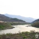 고달리다리 이미지