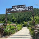 메밀꽃필무렵(후) 네이버블로그