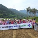 달성군청 이미지