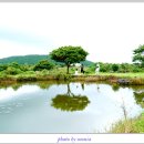 주성수산 티스토리