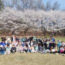 세교한국태권도장 이미지