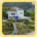 뭉치켄넬 이미지