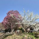 다무락마을 쉼터 이미지