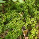 명곡동055 이미지