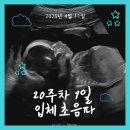 하품 | 임신 20주차 정밀초음파 후기! 딸랑구 하품 영상, 콧구멍까지 선명했던 태아 성장 체크!
