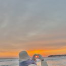 보라보라 이미지