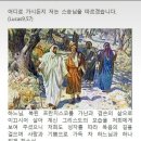 10월1일 [연중 제26주간 수요일] 이미지