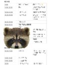 예원미트 이미지