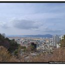 유림-1110 이미지