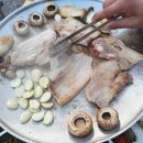 윤 오토캠핑장 이미지