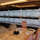 민들레애견 이미지