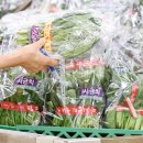 K플러스식자재마트 이미지