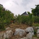 대조리마을회관 이미지