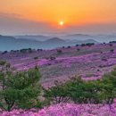 지리산 이미지