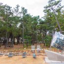 송림테마거리 이미지